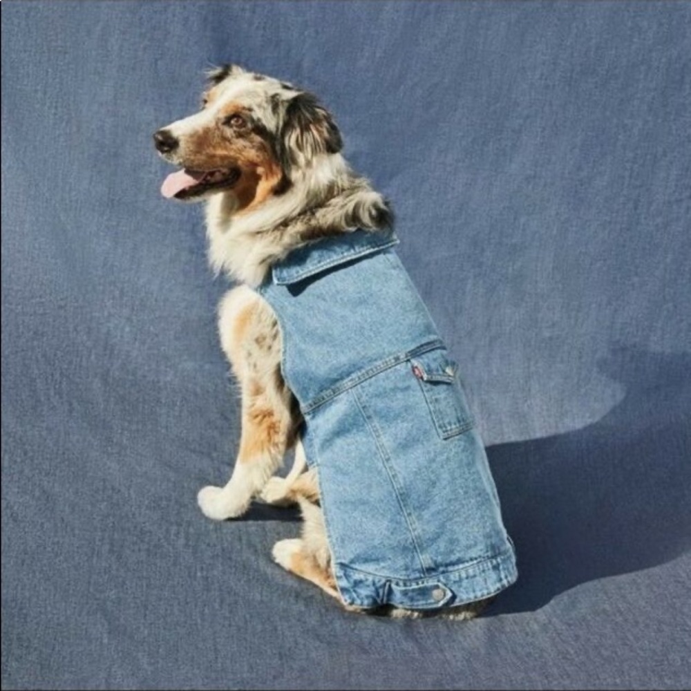 Levi’s x Target Dog Trucker Jean Jacket LARGE